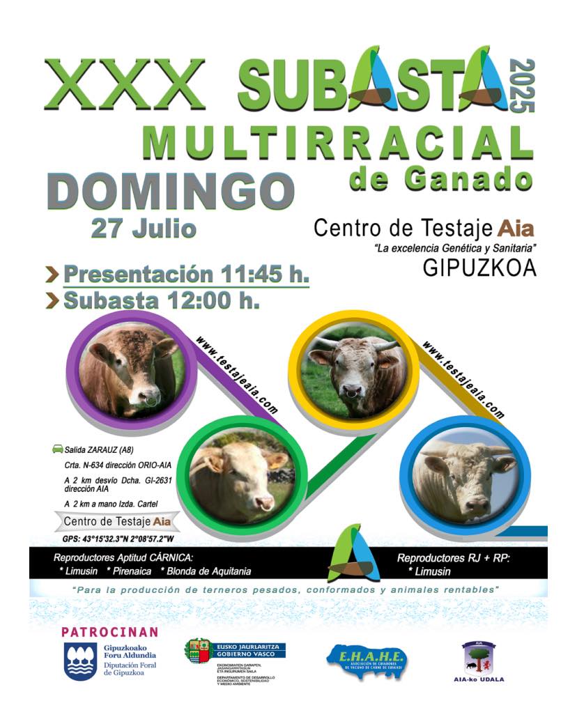 518322281 1236806144908057 1137888330508545504 n