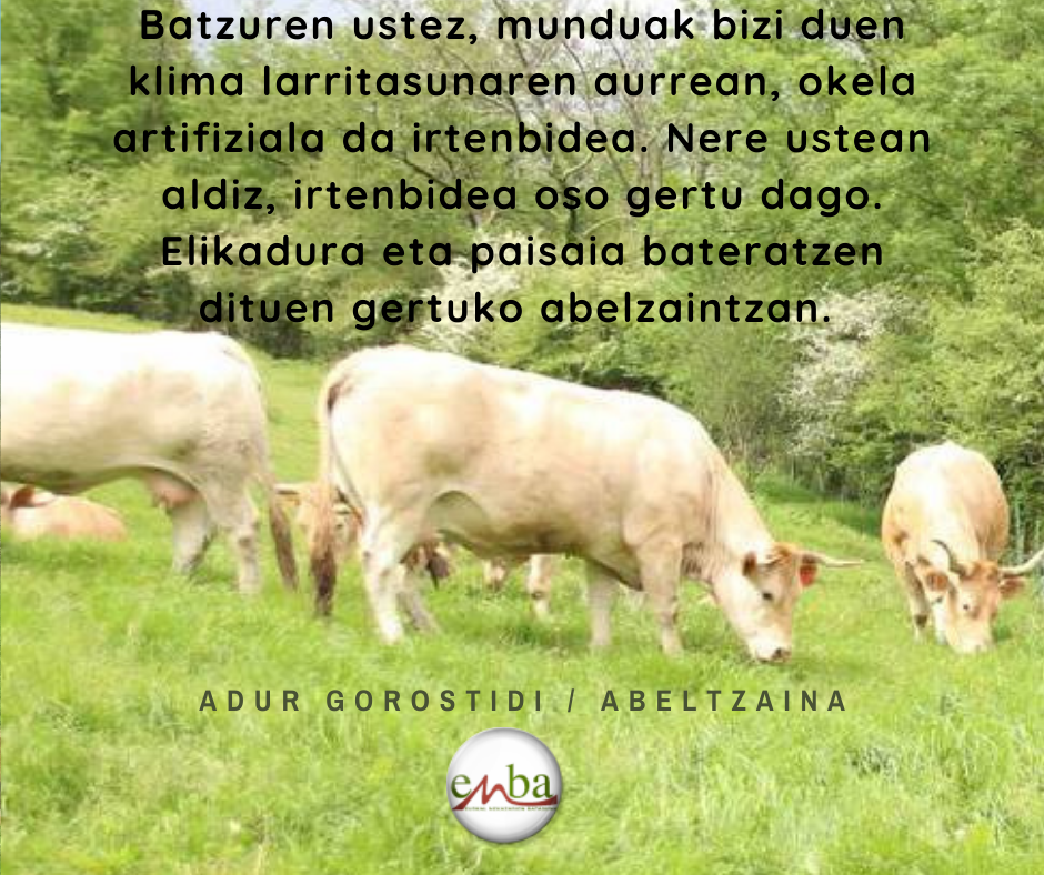 Okela.adur