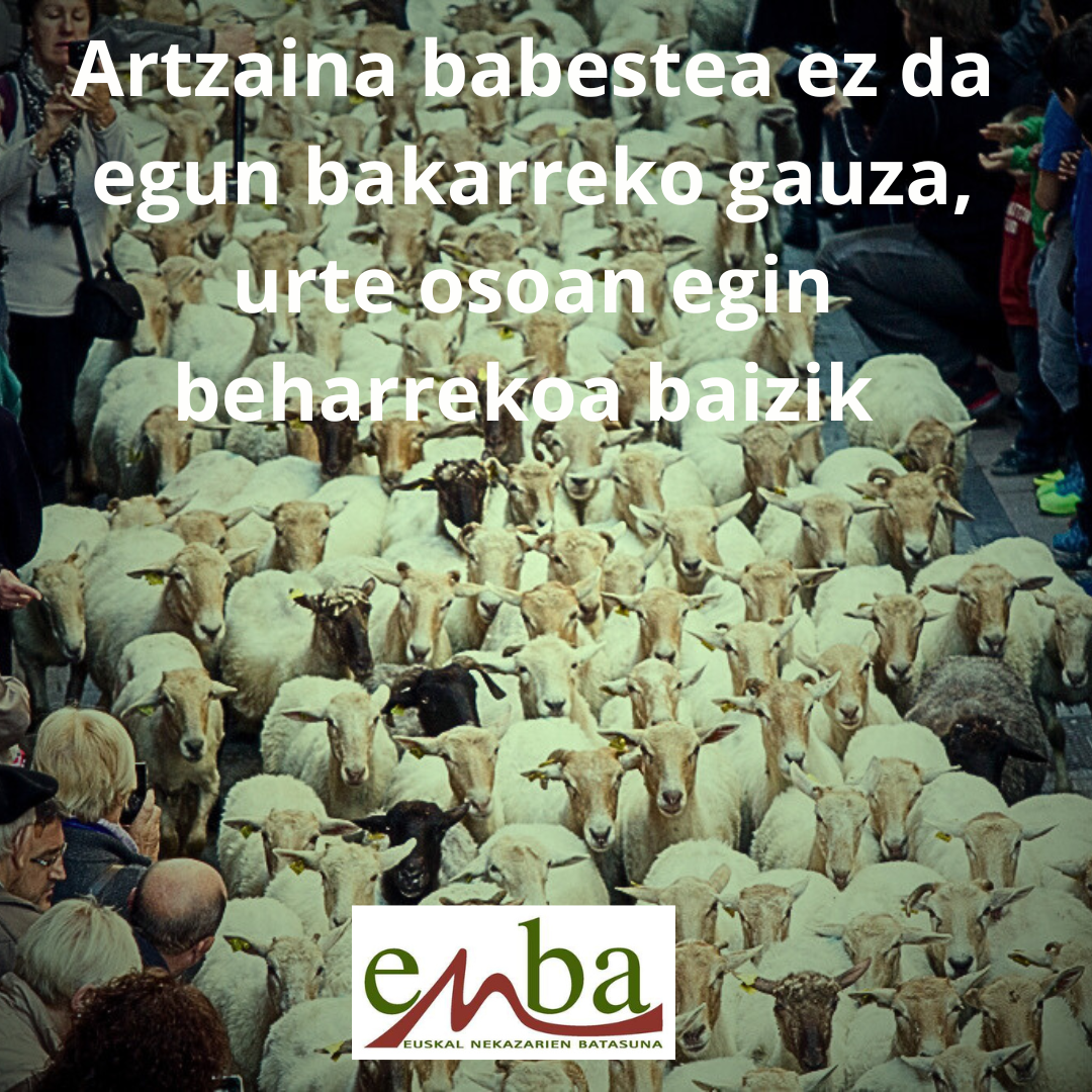 ordizia