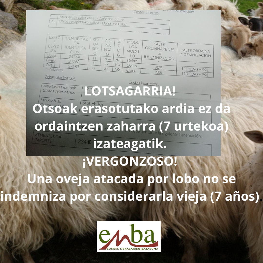otsoa.kalteordaina