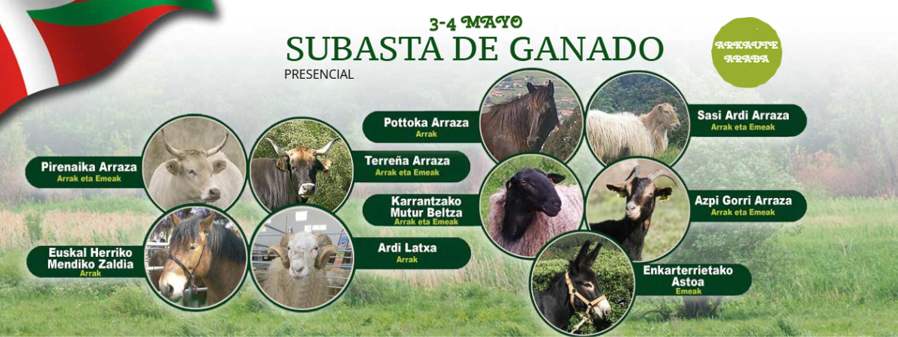subastas ganaderas